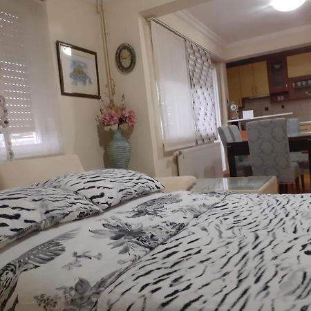 Spacious 80M2 Apartment In The Center Ljubuški Exteriér fotografie